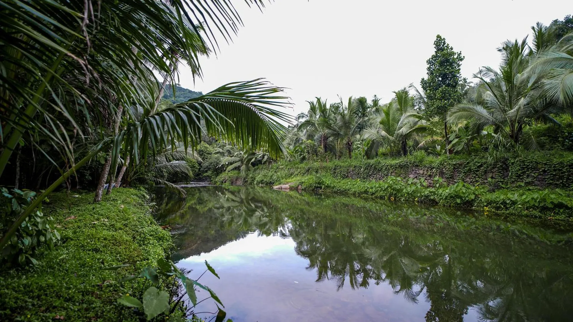 Jathikka Homestay Vagamon