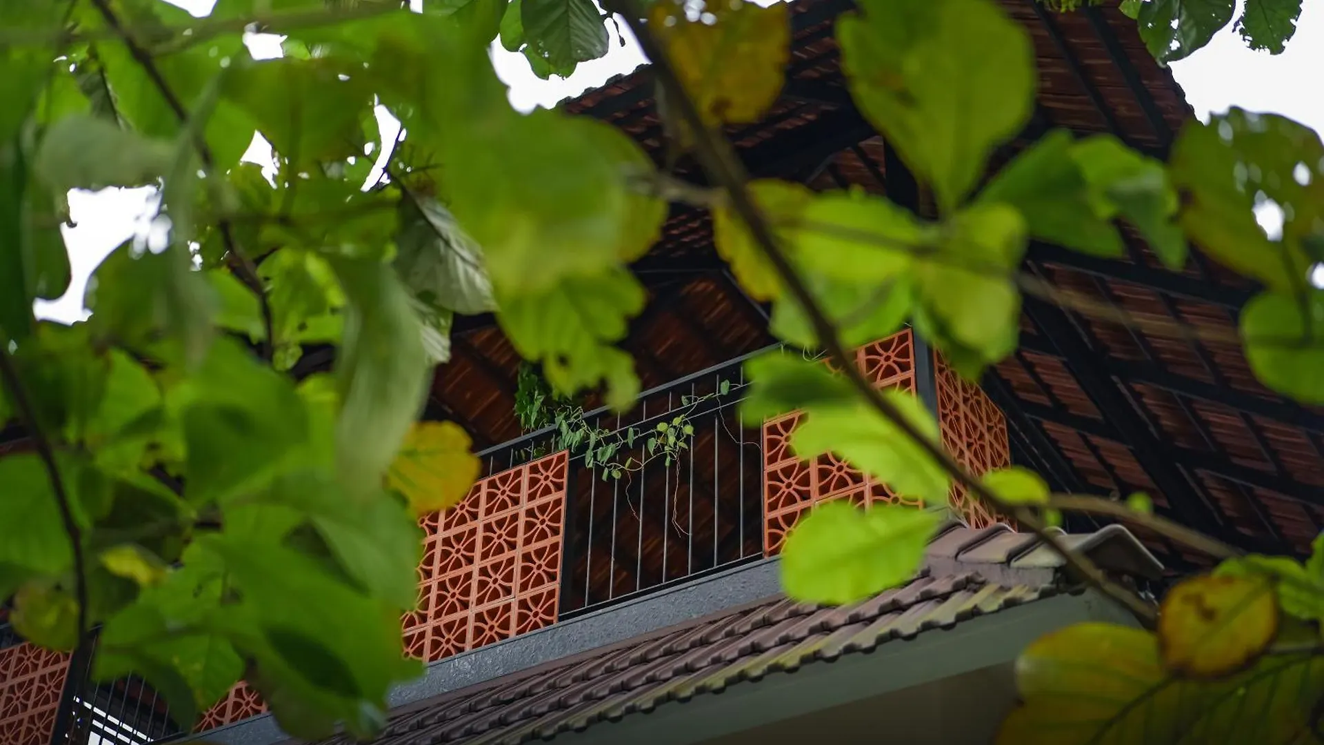 Jathikka Homestay Vagamon 0*,