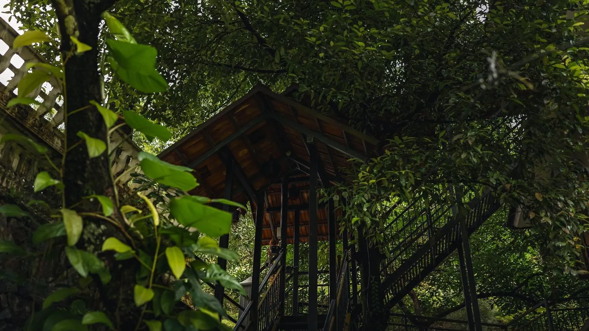 Jathikka Homestay Vagamon