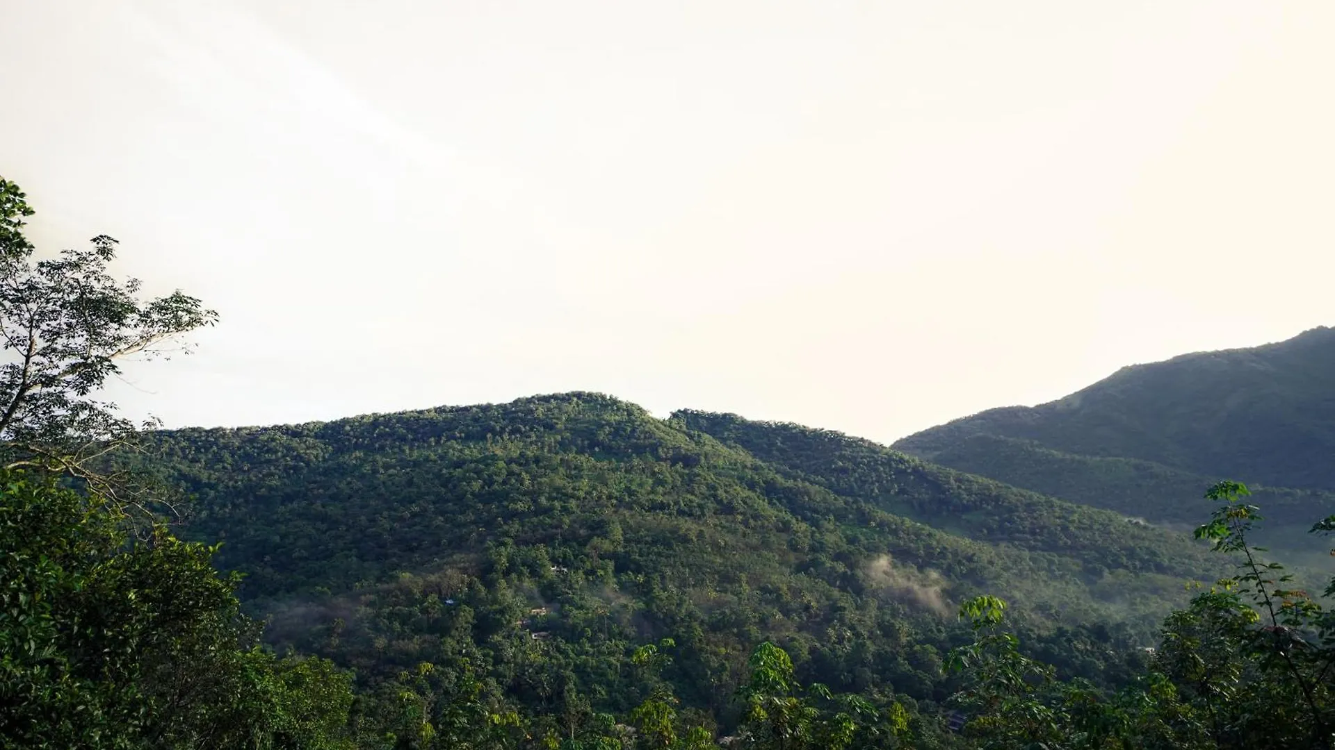 Jathikka Homestay Vagamon India